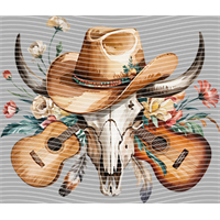 Country music-CM-911